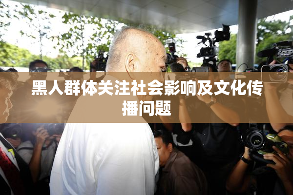 黑人群体关注社会影响及文化传播问题