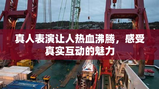 真人表演让人热血沸腾，感受真实互动的魅力