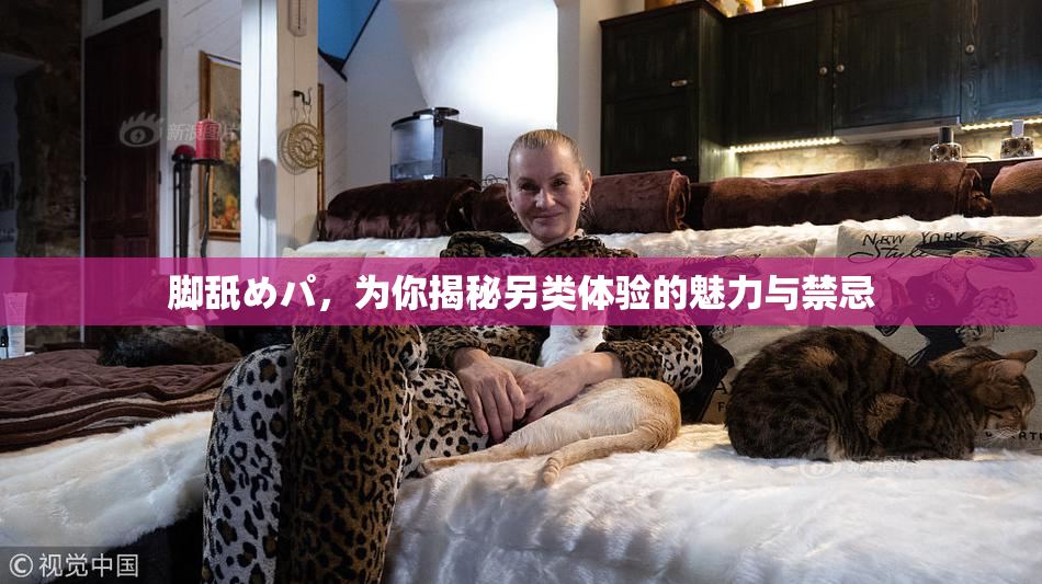 脚舐めパ，为你揭秘另类体验的魅力与禁忌