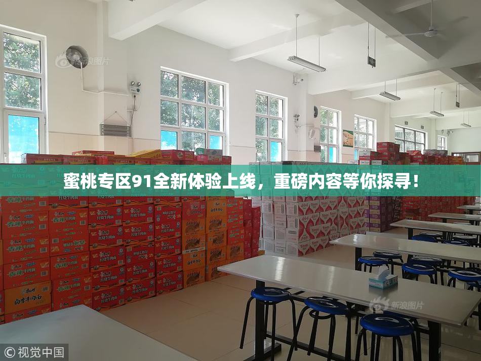蜜桃专区91全新体验上线，重磅内容等你探寻！
