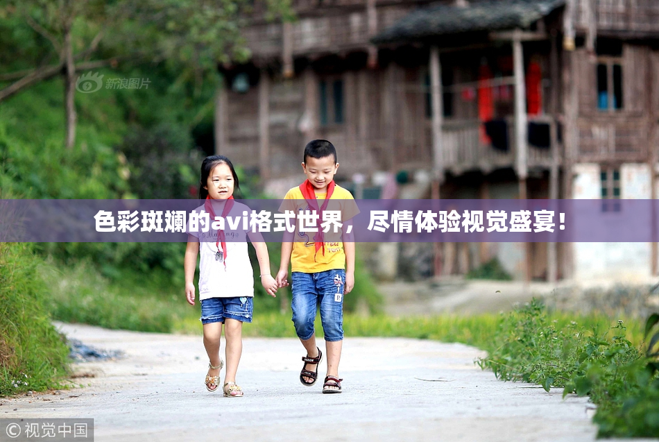 色彩斑斓的avi格式世界，尽情体验视觉盛宴！