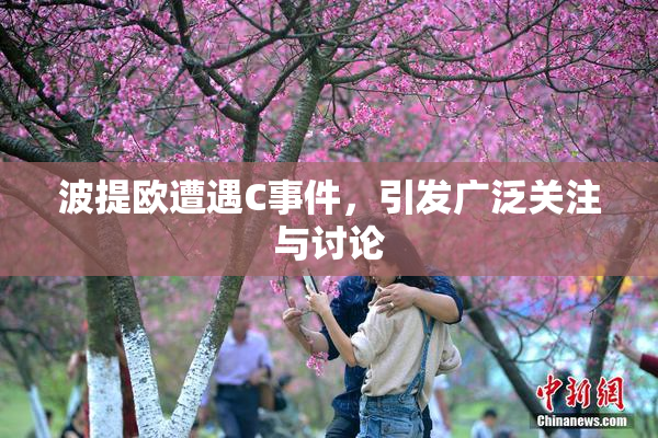 波提欧遭遇C事件，引发广泛关注与讨论