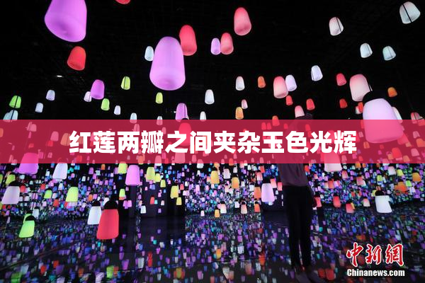红莲两瓣之间夹杂玉色光辉
