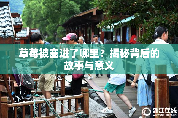 草莓被塞进了哪里？揭秘背后的故事与意义