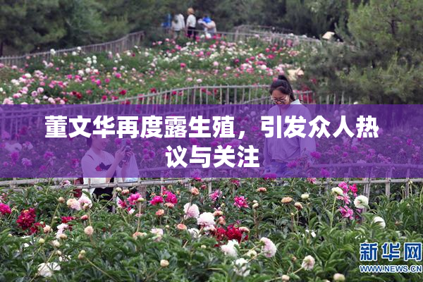 董文华再度露生殖，引发众人热议与关注