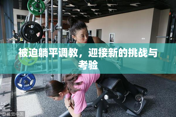 被迫躺平调教，迎接新的挑战与考验