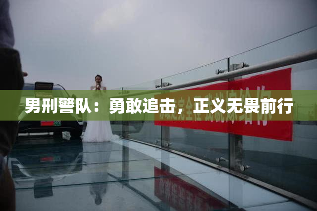 男刑警队：勇敢追击，正义无畏前行