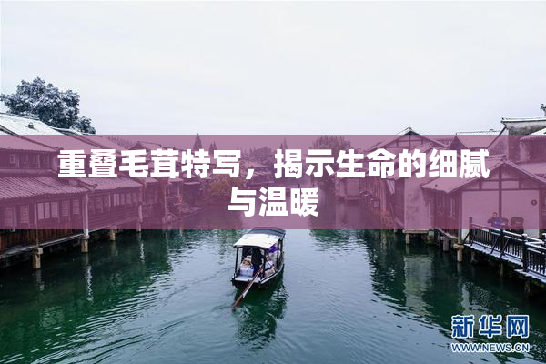 重叠毛茸特写，揭示生命的细腻与温暖