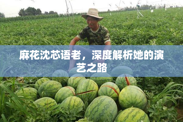 麻花沈芯语老，深度解析她的演艺之路