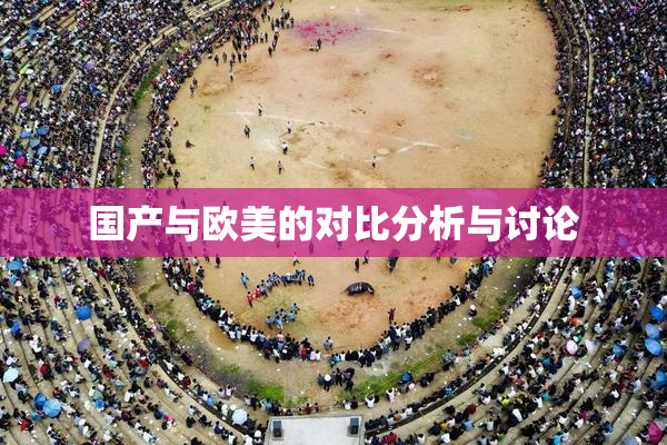 国产与欧美的对比分析与讨论