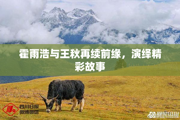 霍雨浩与王秋再续前缘，演绎精彩故事