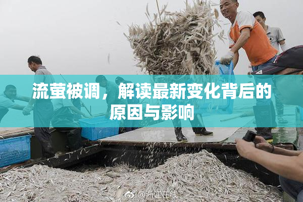 流萤被调，解读最新变化背后的原因与影响
