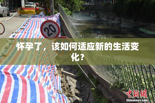 怀孕了，该如何适应新的生活变化？