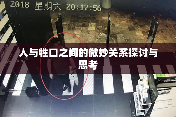 人与牲口之间的微妙关系探讨与思考