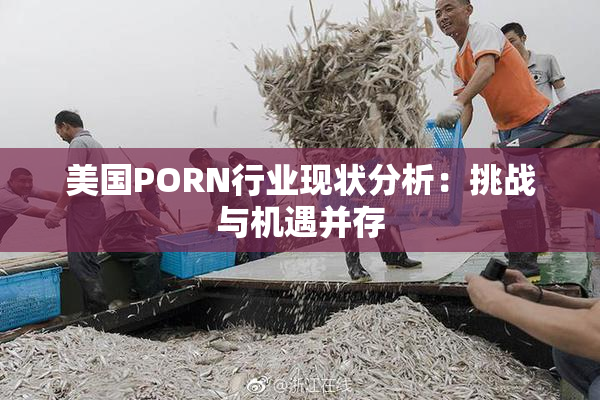 美国PORN行业现状分析：挑战与机遇并存