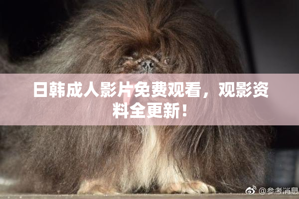 日韩成人影片免费观看，观影资料全更新！