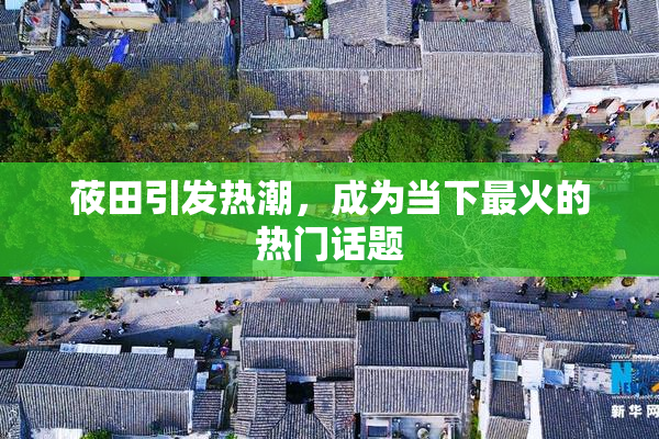 莜田引发热潮，成为当下最火的热门话题