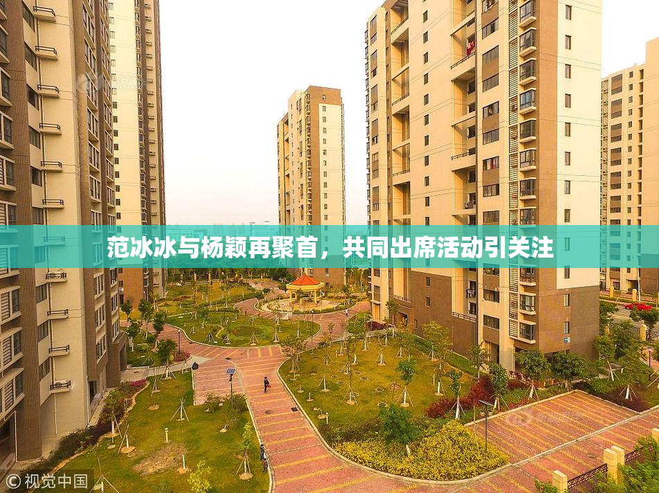 范冰冰与杨颖再聚首，共同出席活动引关注