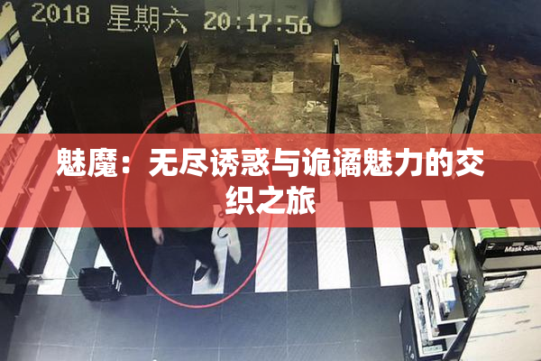 魅魔：无尽诱惑与诡谲魅力的交织之旅