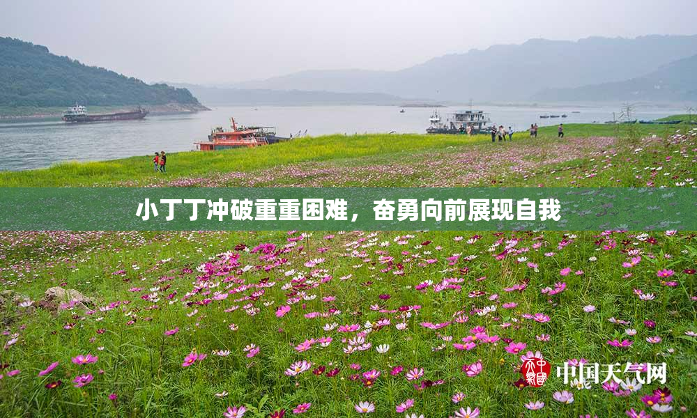 小丁丁冲破重重困难，奋勇向前展现自我
