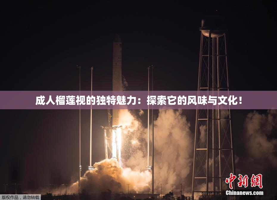成人榴莲视的独特魅力：探索它的风味与文化！
