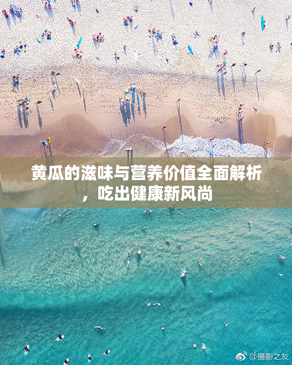 黄瓜的滋味与营养价值全面解析，吃出健康新风尚