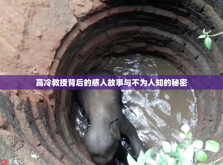 高冷教授背后的感人故事与不为人知的秘密