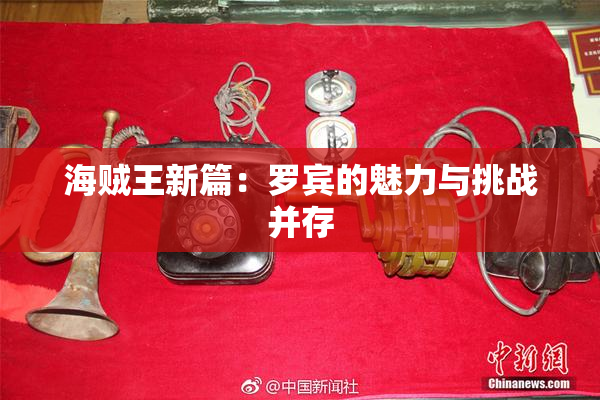 海贼王新篇：罗宾的魅力与挑战并存