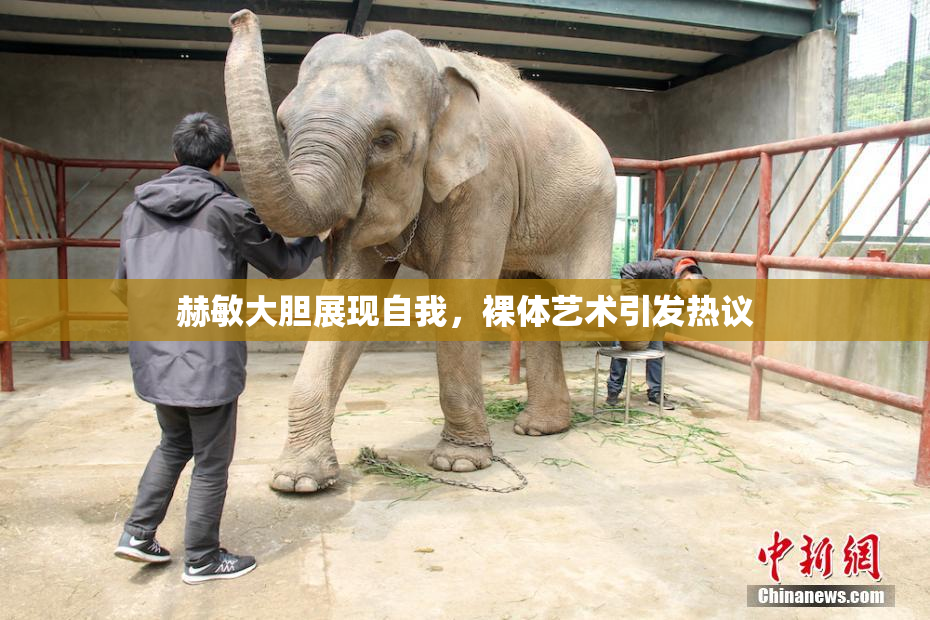 赫敏大胆展现自我，裸体艺术引发热议