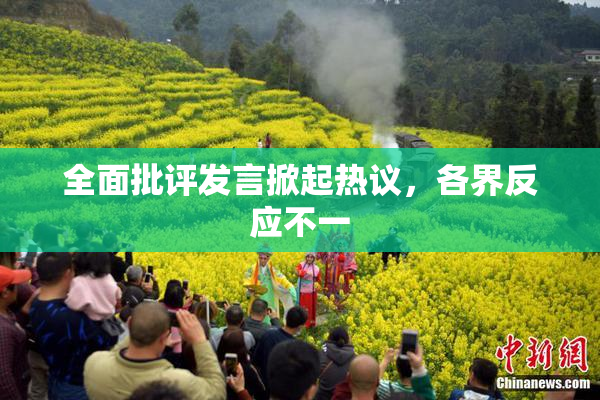 全面批评发言掀起热议，各界反应不一