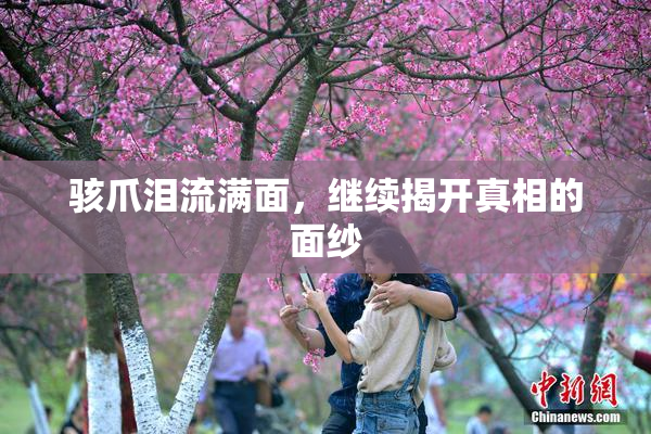 骇爪泪流满面，继续揭开真相的面纱