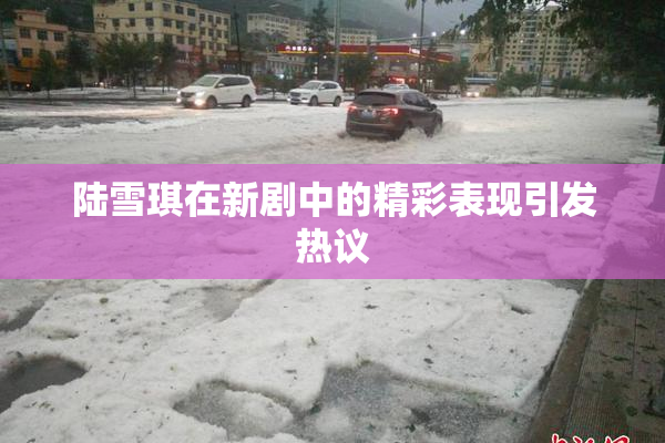 陆雪琪在新剧中的精彩表现引发热议