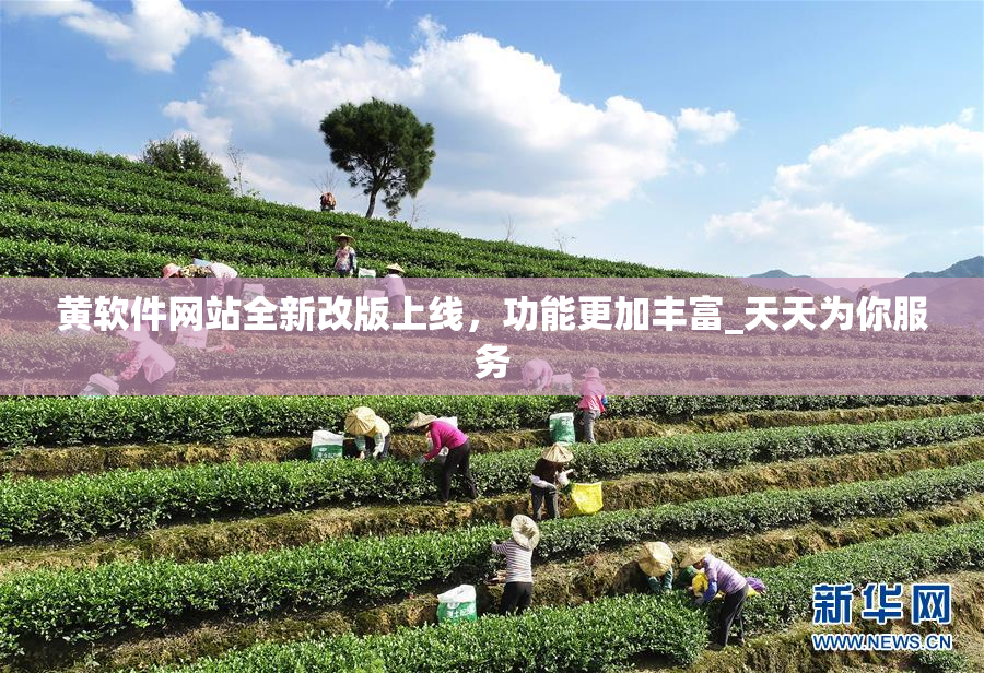 黄软件网站全新改版上线，功能更加丰富_天天为你服务