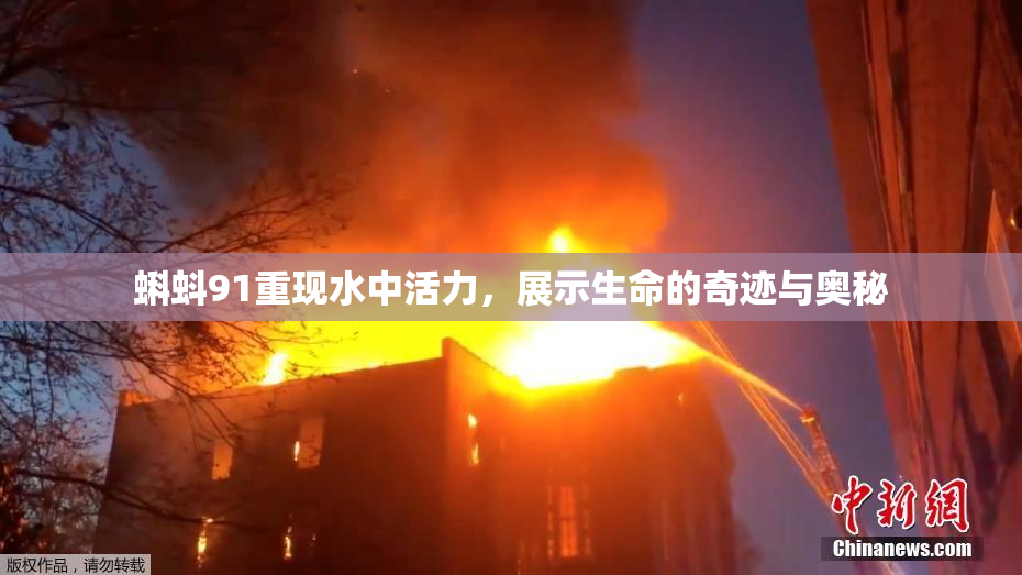 蝌蚪91重现水中活力，展示生命的奇迹与奥秘