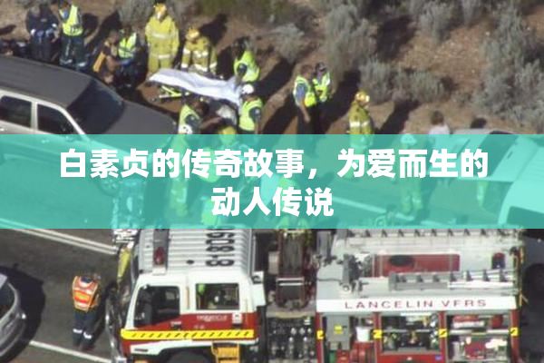 白素贞的传奇故事，为爱而生的动人传说