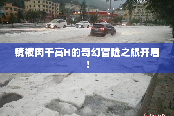 镜被肉干高H的奇幻冒险之旅开启！