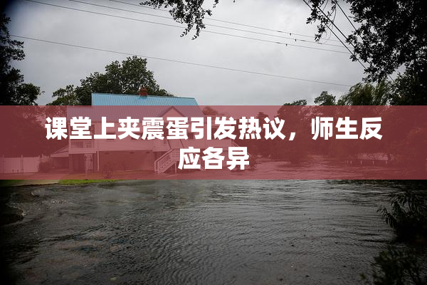 课堂上夹震蛋引发热议，师生反应各异
