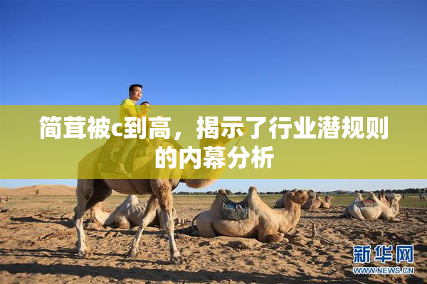 简茸被c到高，揭示了行业潜规则的内幕分析