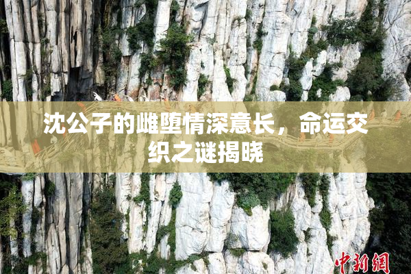沈公子的雌堕情深意长，命运交织之谜揭晓
