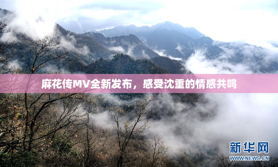 麻花传MV全新发布，感受沈重的情感共鸣