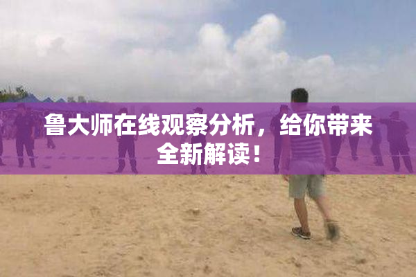 鲁大师在线观察分析，给你带来全新解读！