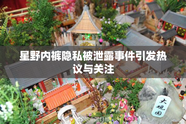 星野内裤隐私被泄露事件引发热议与关注