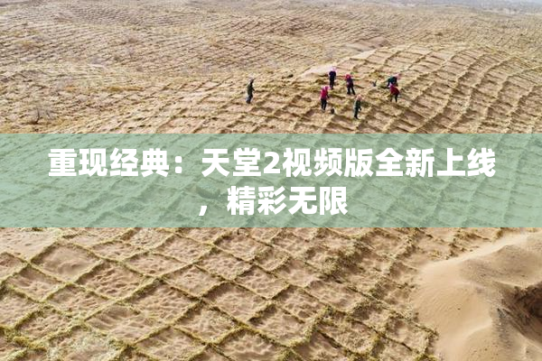 重现经典：天堂2视频版全新上线，精彩无限