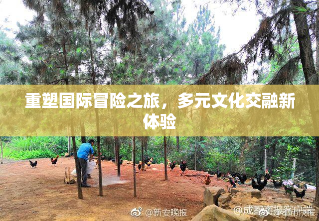 重塑国际冒险之旅，多元文化交融新体验