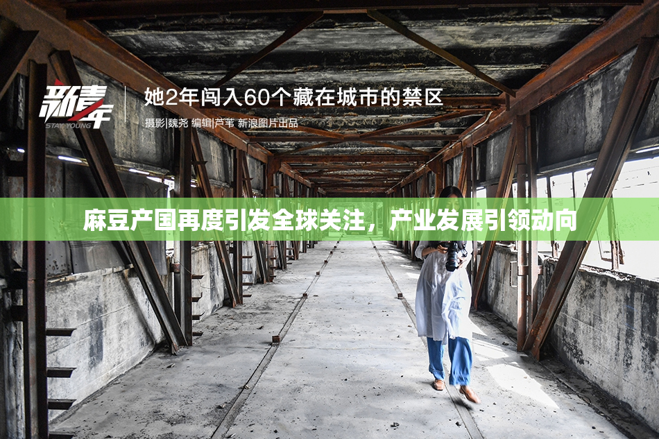 麻豆产国再度引发全球关注，产业发展引领动向