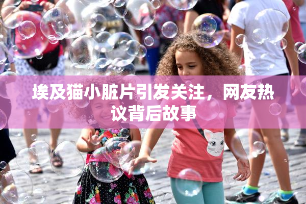 埃及猫小脏片引发关注，网友热议背后故事
