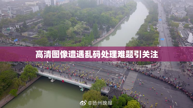 高清图像遭遇乱码处理难题引关注
