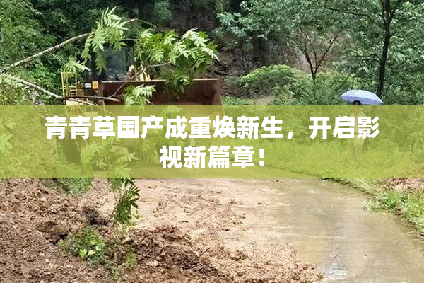 青青草国产成重焕新生，开启影视新篇章！
