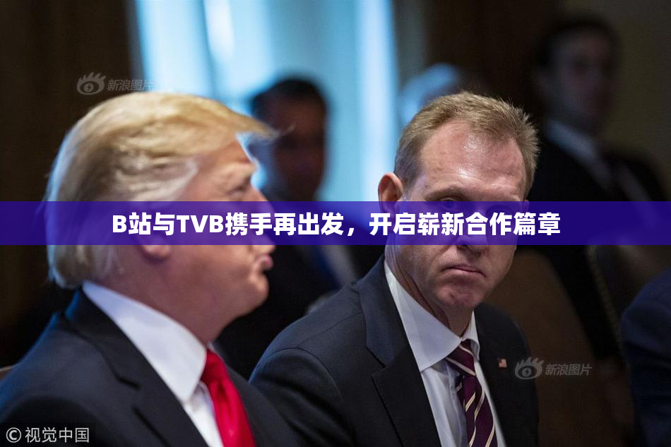 B站与TVB携手再出发，开启崭新合作篇章