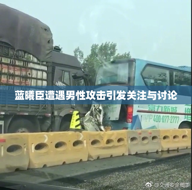 蓝曦臣遭遇男性攻击引发关注与讨论